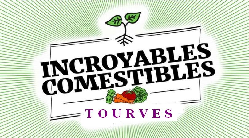 Compte rendu : réunion incroyables comestibles