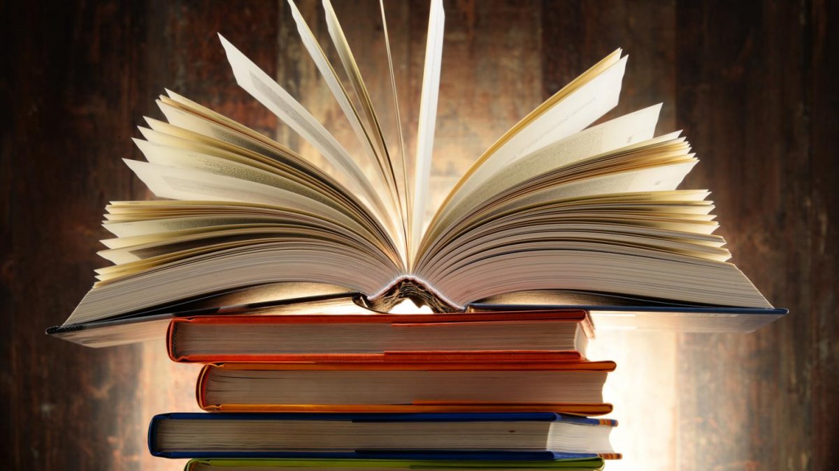 sondage journée livre 