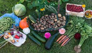 Jardinage-réunion le samedi 22 septembre 9h au Marché Provençal