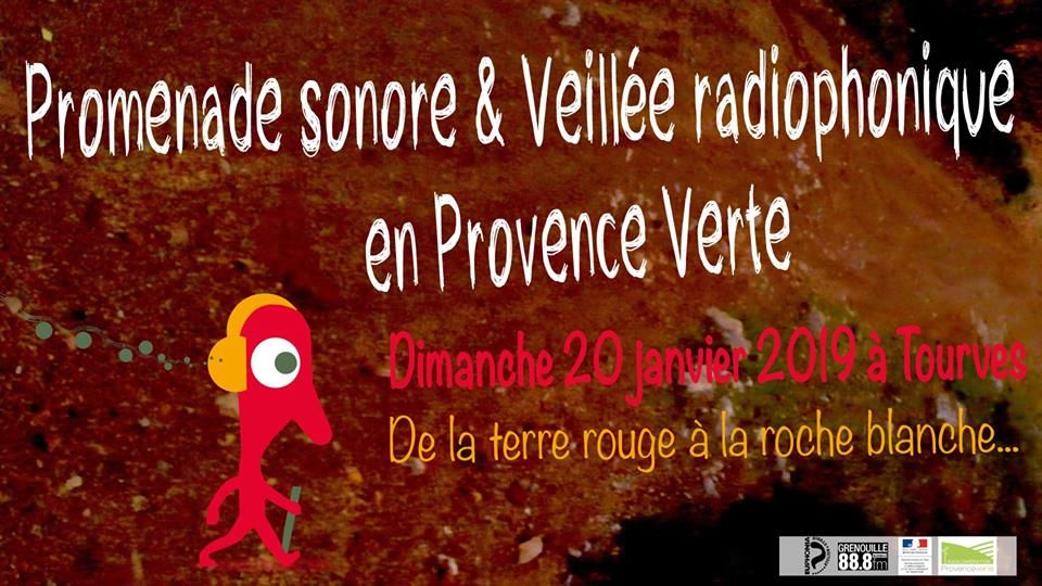 Veillée Radio grenouille à TOURVES : le podcast à écouter !!